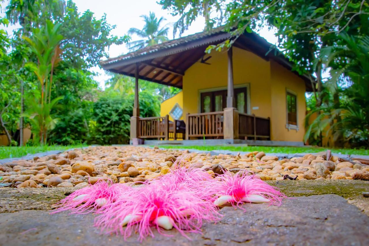 Birds Paradise Cabanas Unawatuna Extérieur photo