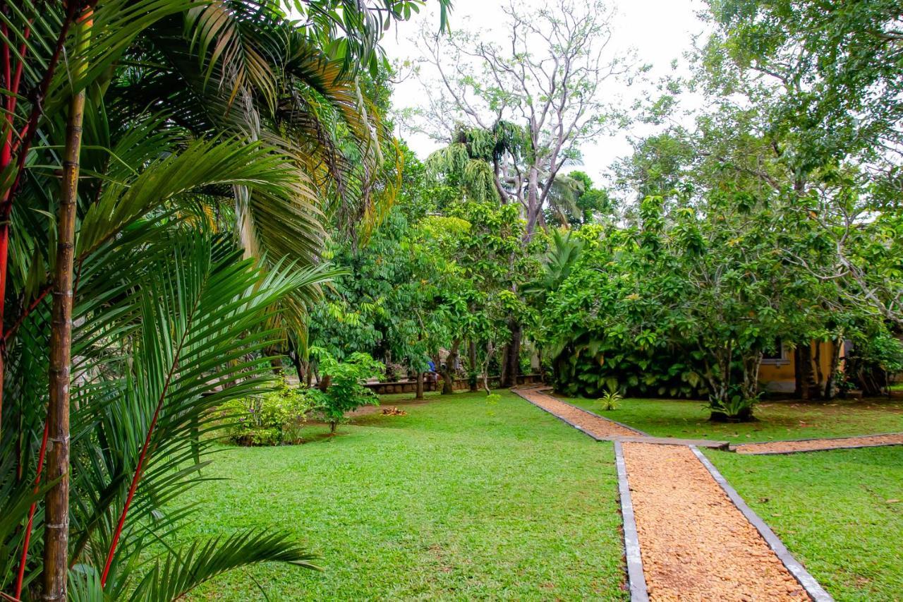 Birds Paradise Cabanas Unawatuna Extérieur photo